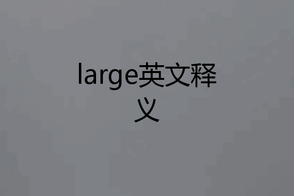 large英文释义