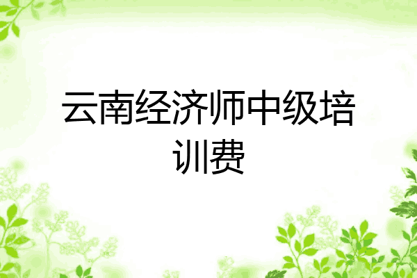 云南经济师中级培训费