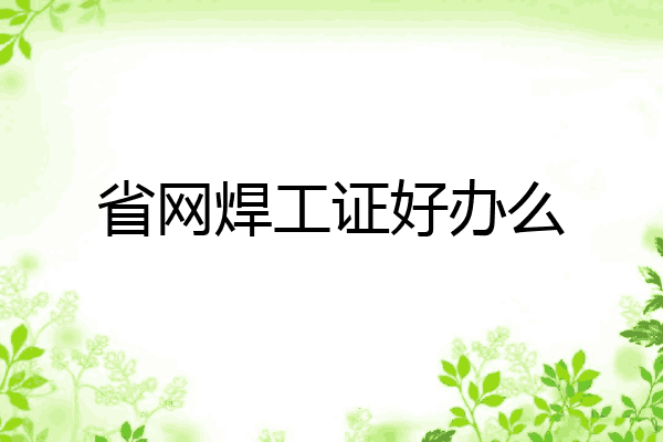省网焊工证好办么