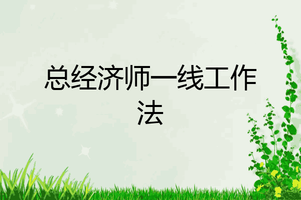 总经济师一线工作法