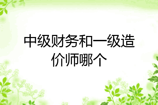 中级财务和一级造价师哪个