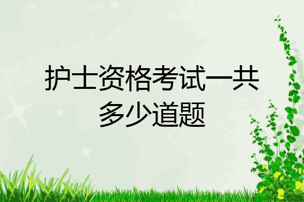 护士资格考试一共多少道题