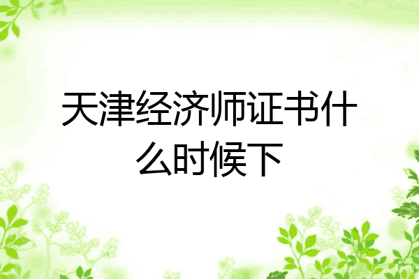 天津经济师证书什么时候下
