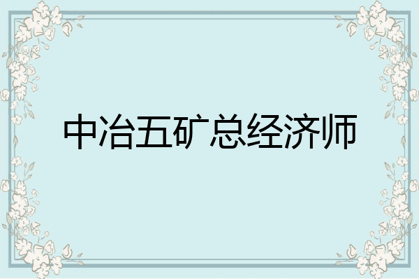 中冶五矿总经济师