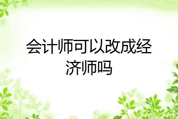会计师可以改成经济师吗
