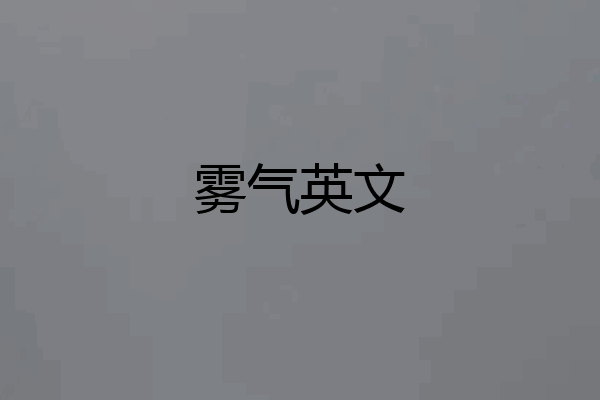 雾气英文
