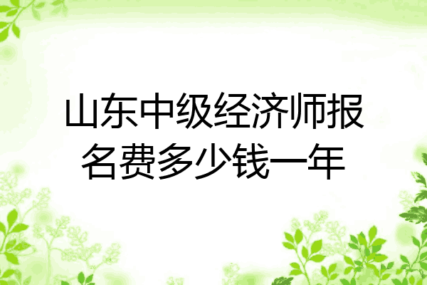 山东中级经济师报名费多少钱一年