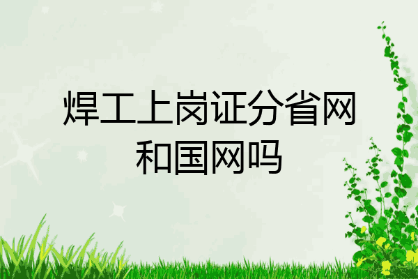 焊工上岗证分省网和国网吗