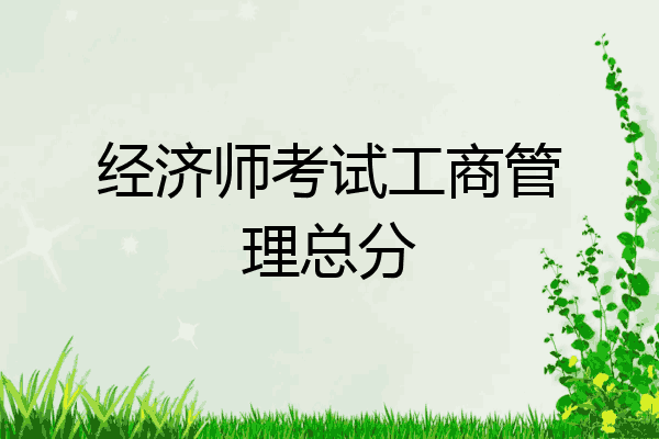 经济师考试工商管理总分