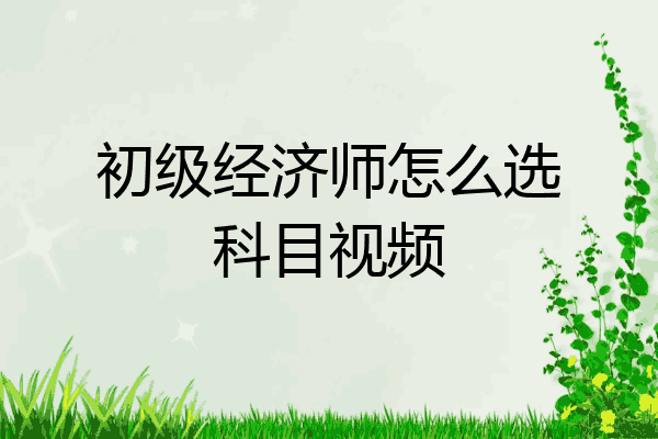 初级经济师怎么选科目视频