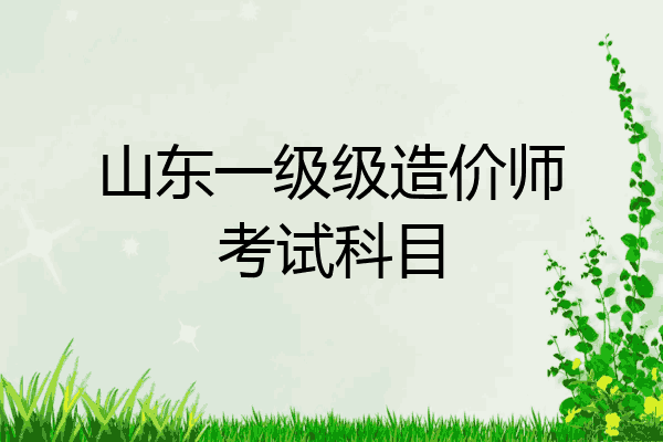 山东一级级造价师考试科目