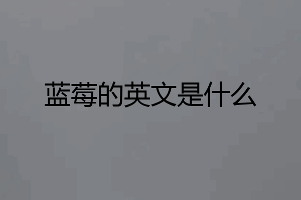 蓝莓的英文是什么