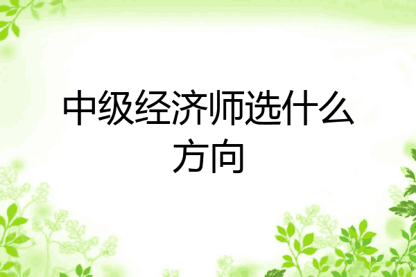 中级经济师选什么方向