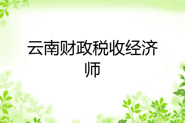 云南财政税收经济师