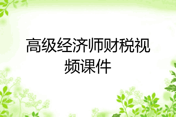 高级经济师财税视频课件
