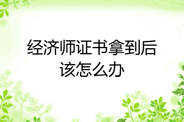 经济师证书拿到后该怎么办