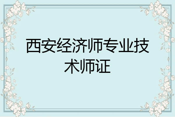 西安经济师专业技术师证