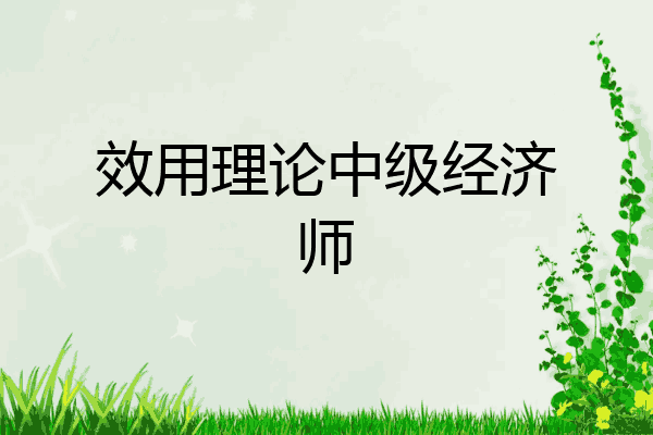 效用理论中级经济师
