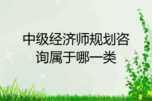 中级经济师规划咨询属于哪一类