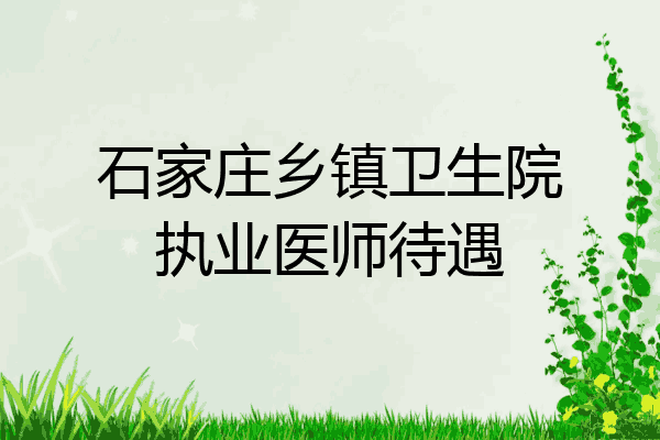 石家庄乡镇卫生院执业医师待遇