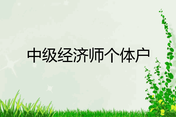 中级经济师个体户