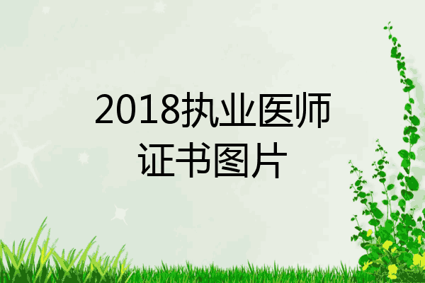 2018执业医师证书图片