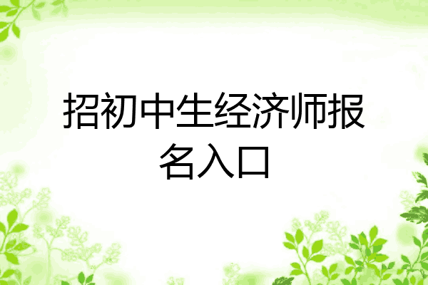 招初中生经济师报名入口