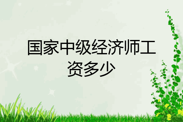 国家中级经济师工资多少