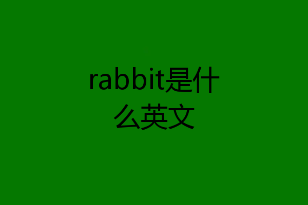 rabbit是什么英文