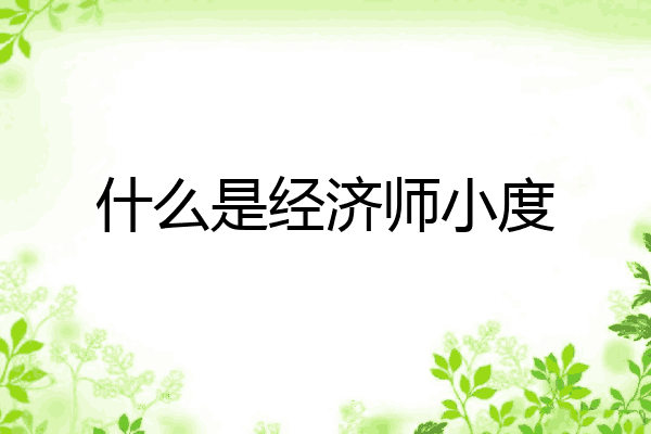 什么是经济师小度
