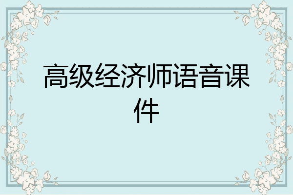 高级经济师语音课件