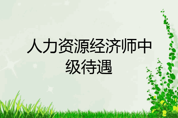 人力资源经济师中级待遇