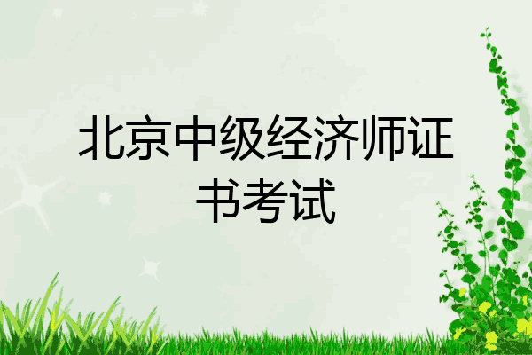 北京中级经济师证书考试
