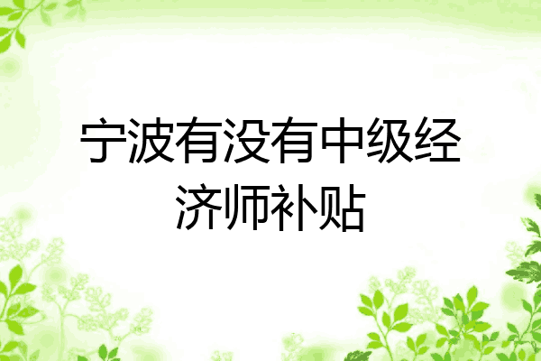 宁波有没有中级经济师补贴