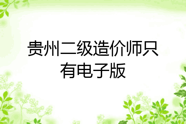 贵州二级造价师只有电子版