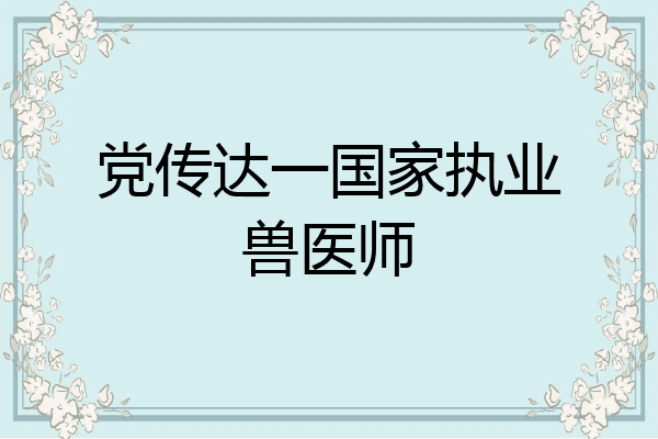 党传达一国家执业兽医师