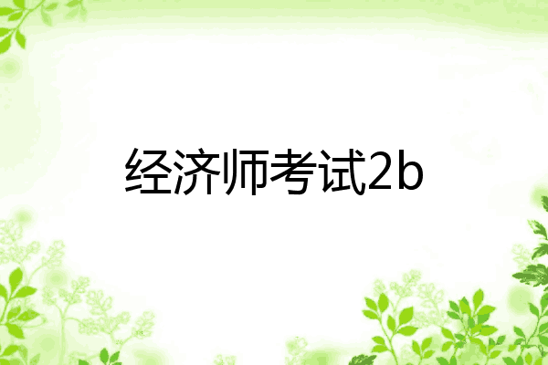经济师考试2b
