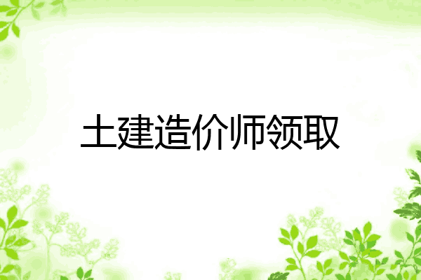 土建造价师领取