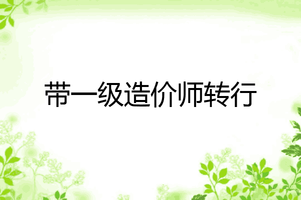 带一级造价师转行