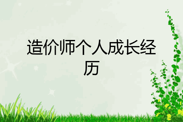 造价师个人成长经历
