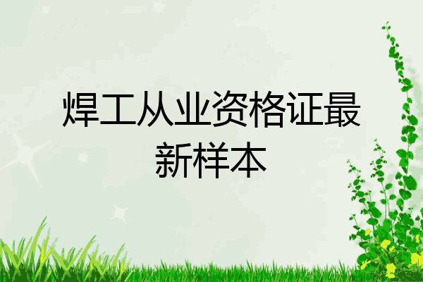 焊工从业资格证最新样本