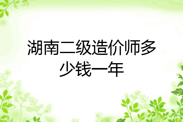 湖南二级造价师多少钱一年