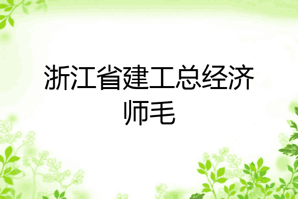 浙江省建工总经济师毛