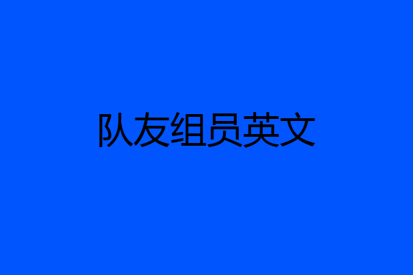 队友组员英文