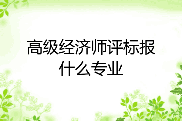 高级经济师评标报什么专业