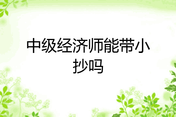 中级经济师能带小抄吗