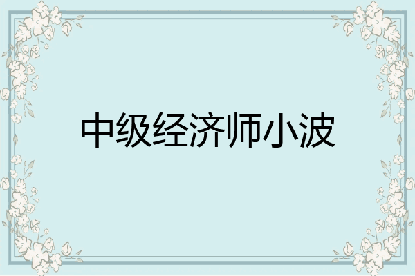 中级经济师小波