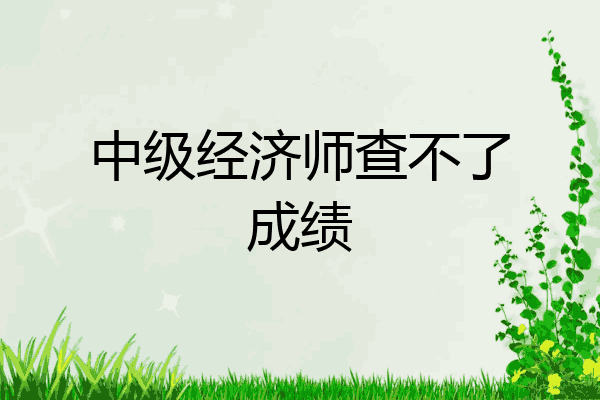 中级经济师查不了成绩