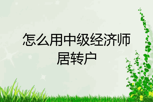 怎么用中级经济师居转户