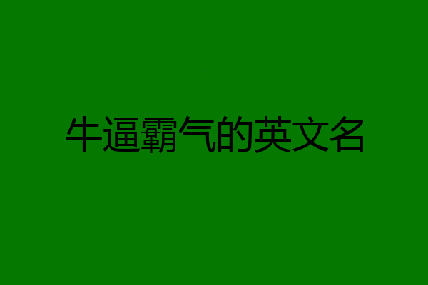 牛逼霸气的英文名